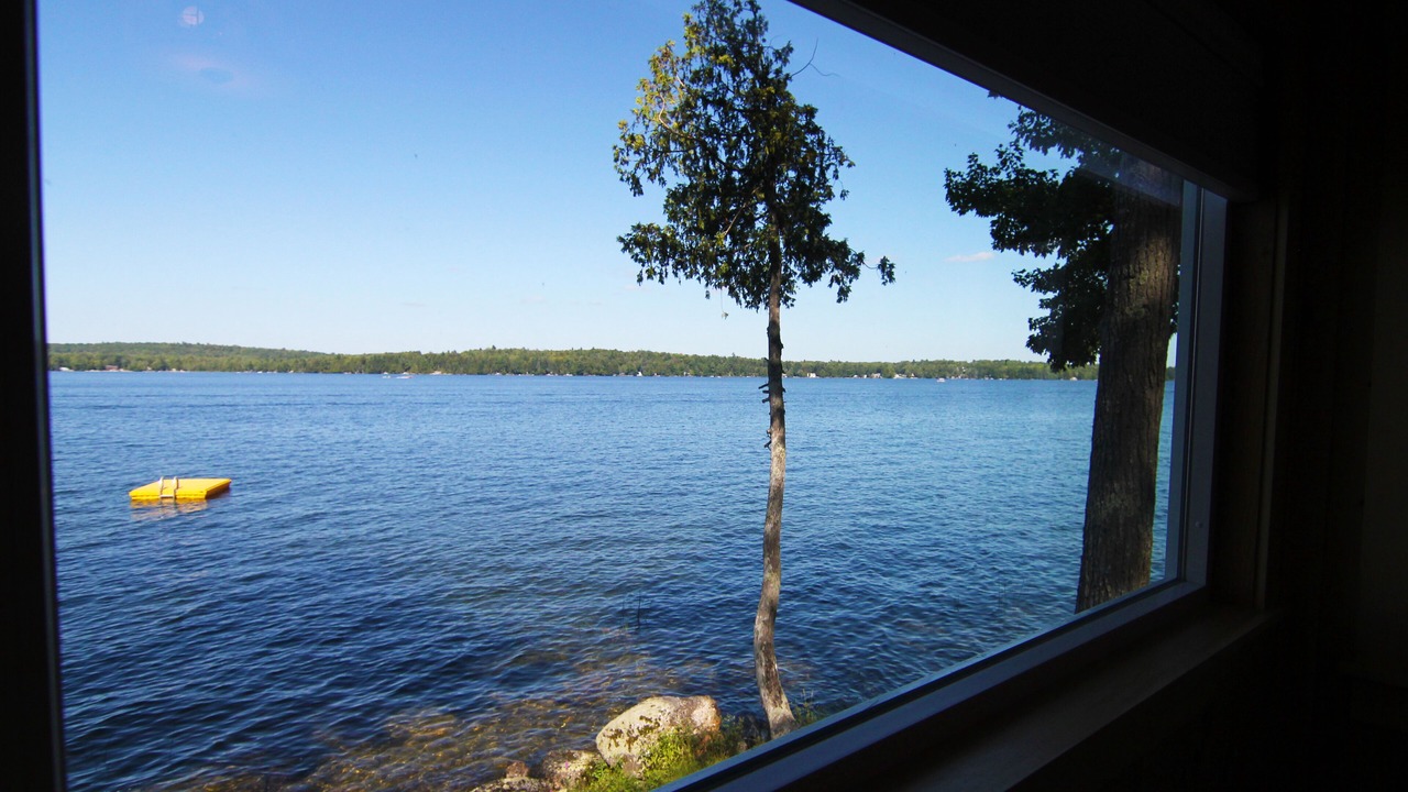 Photo of Others in Otis