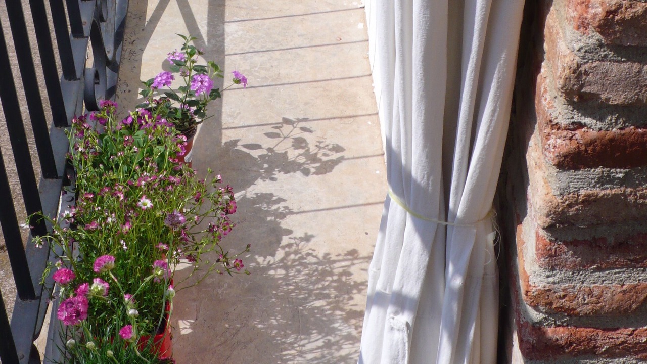 Photo of Outdoor in Azuelo