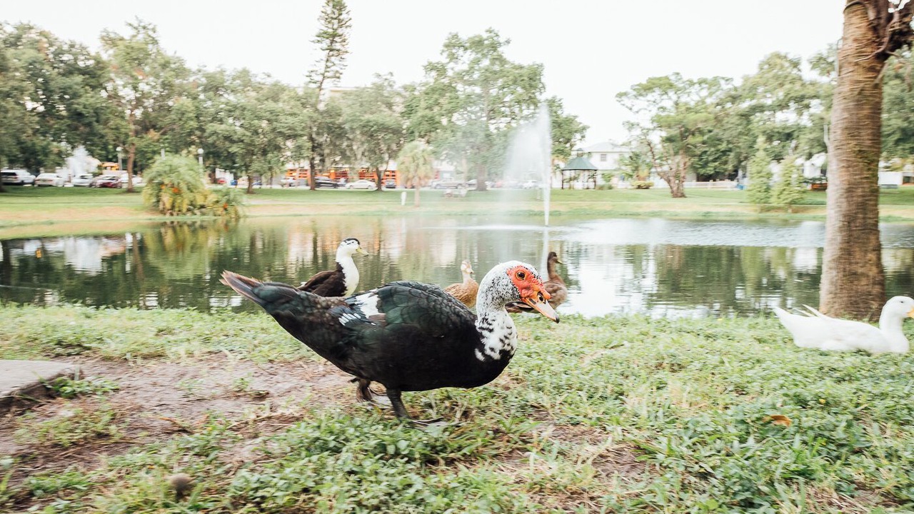 Photo of Outdoor in Historic Uptown