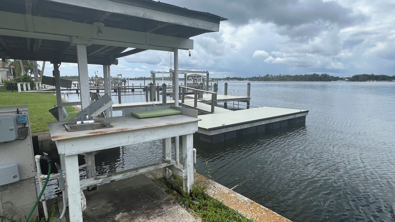 Photo of Others in Crystal River