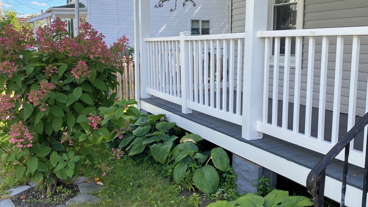 Photo of Outdoor in Kingston