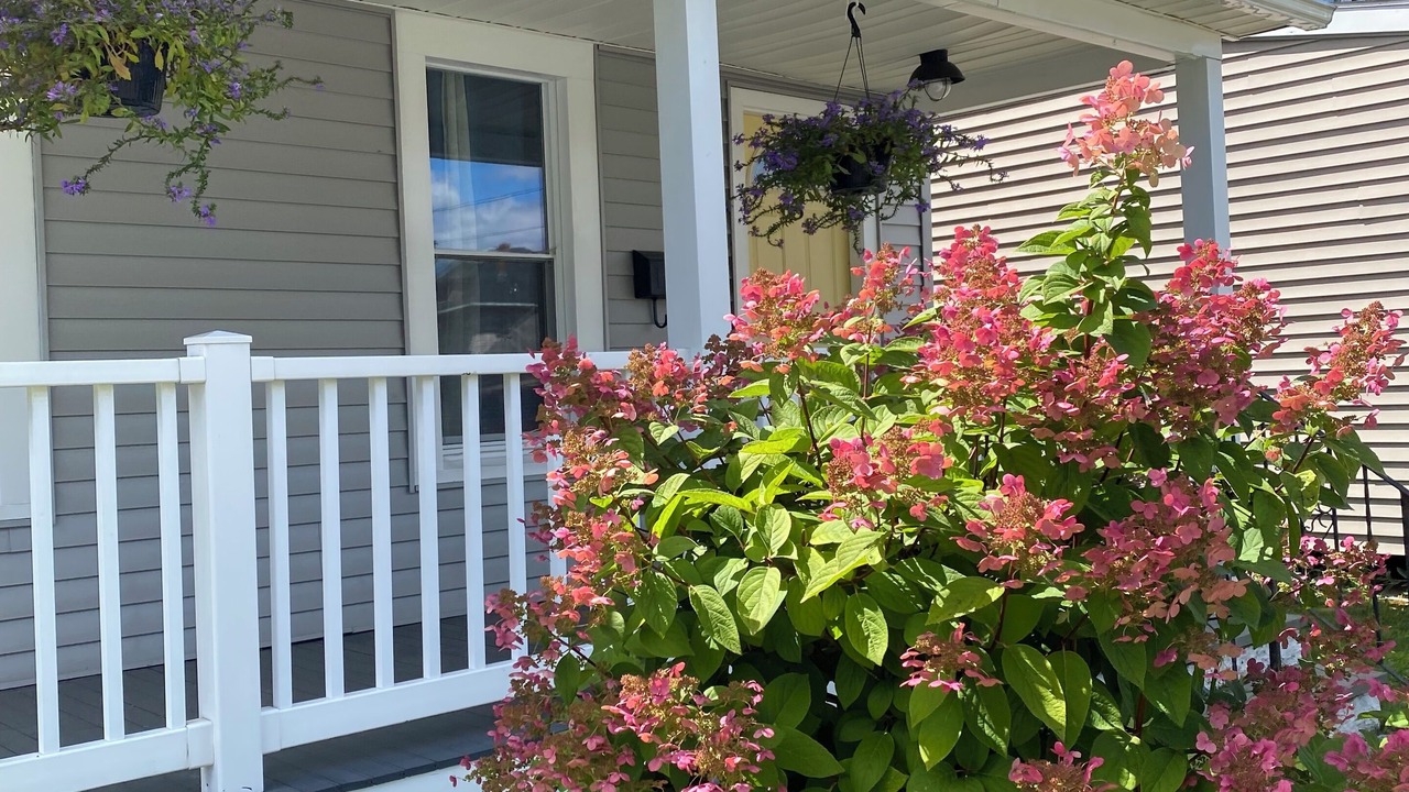 Photo of Outdoor in Kingston