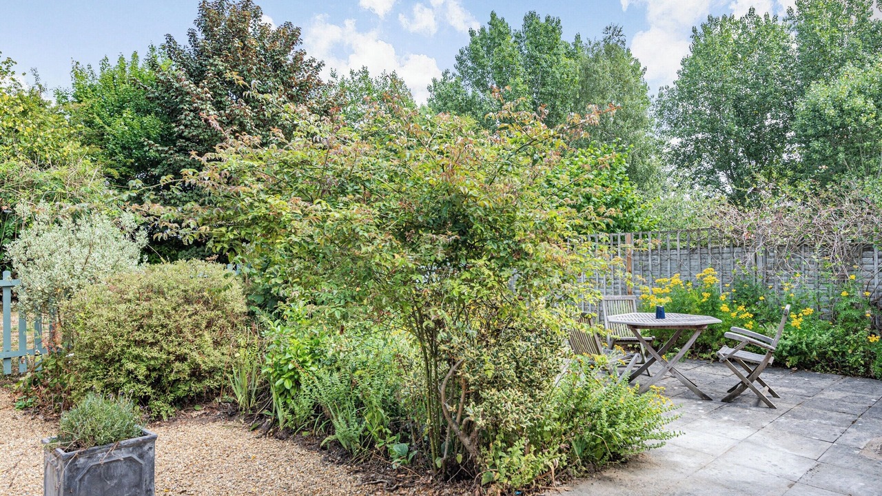 Photo of Others in Eye