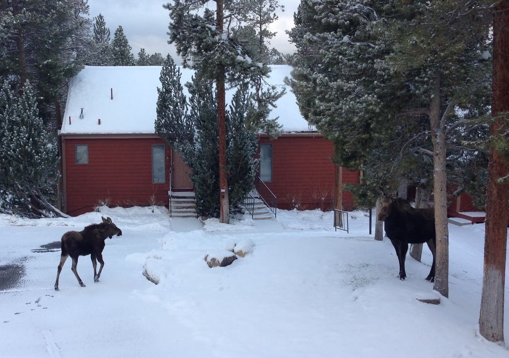 Photo of Outdoor in Fraser