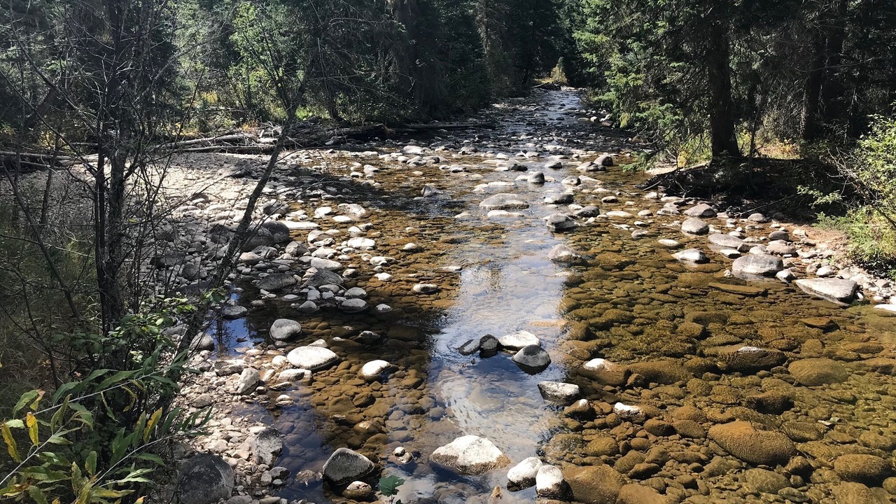 Photo of Outdoor in Fraser