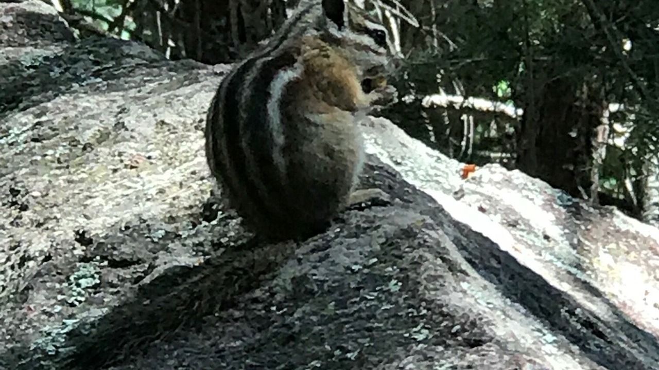 Photo of Outdoor in Fraser