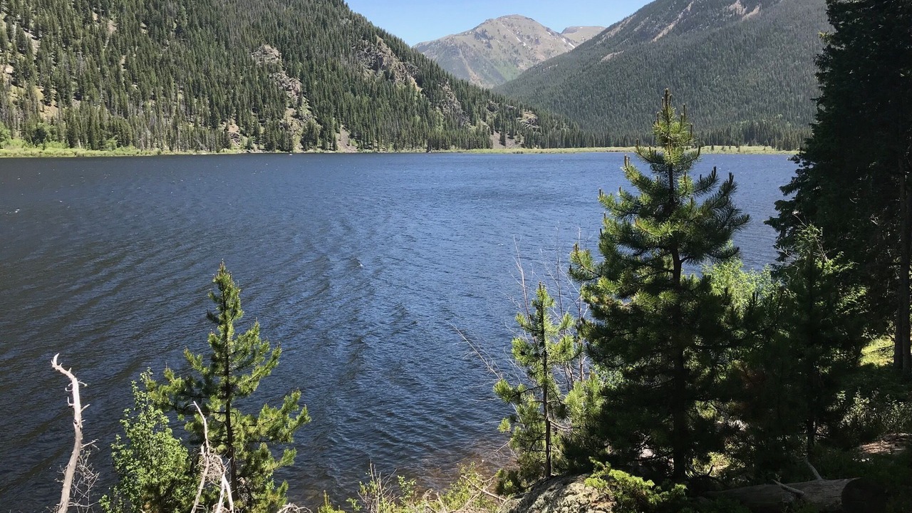 Photo of Others in Fraser