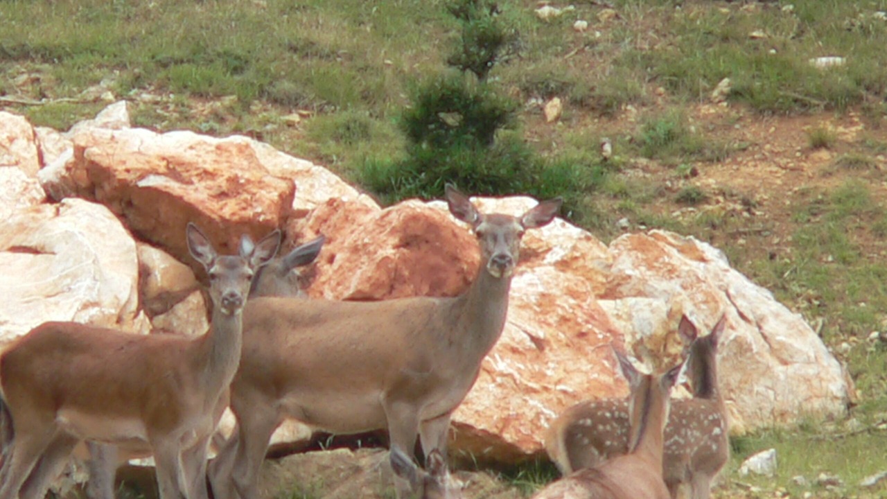 Photo of Outdoor in Camps-sur-l'Agly