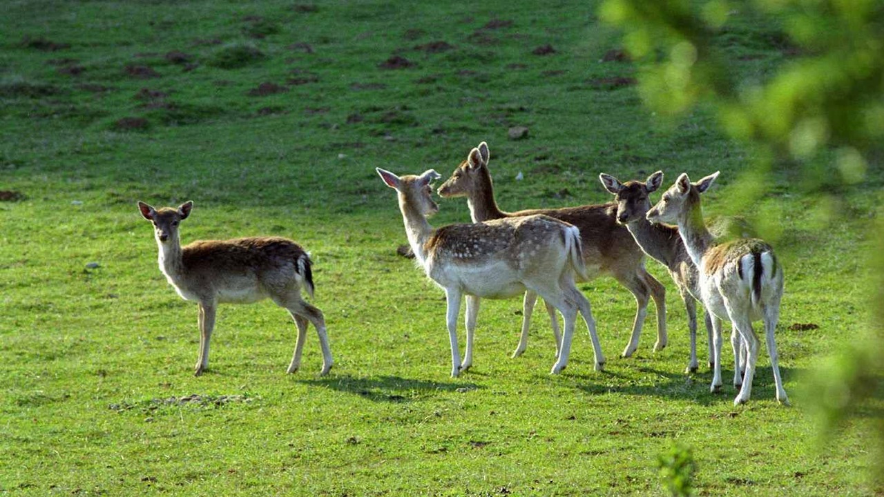 Photo of Outdoor in Camps-sur-l'Agly