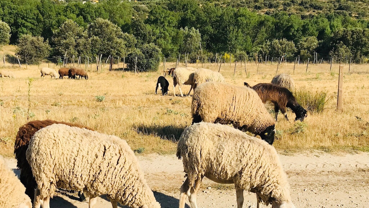 Photo of Outdoor in Navahondilla