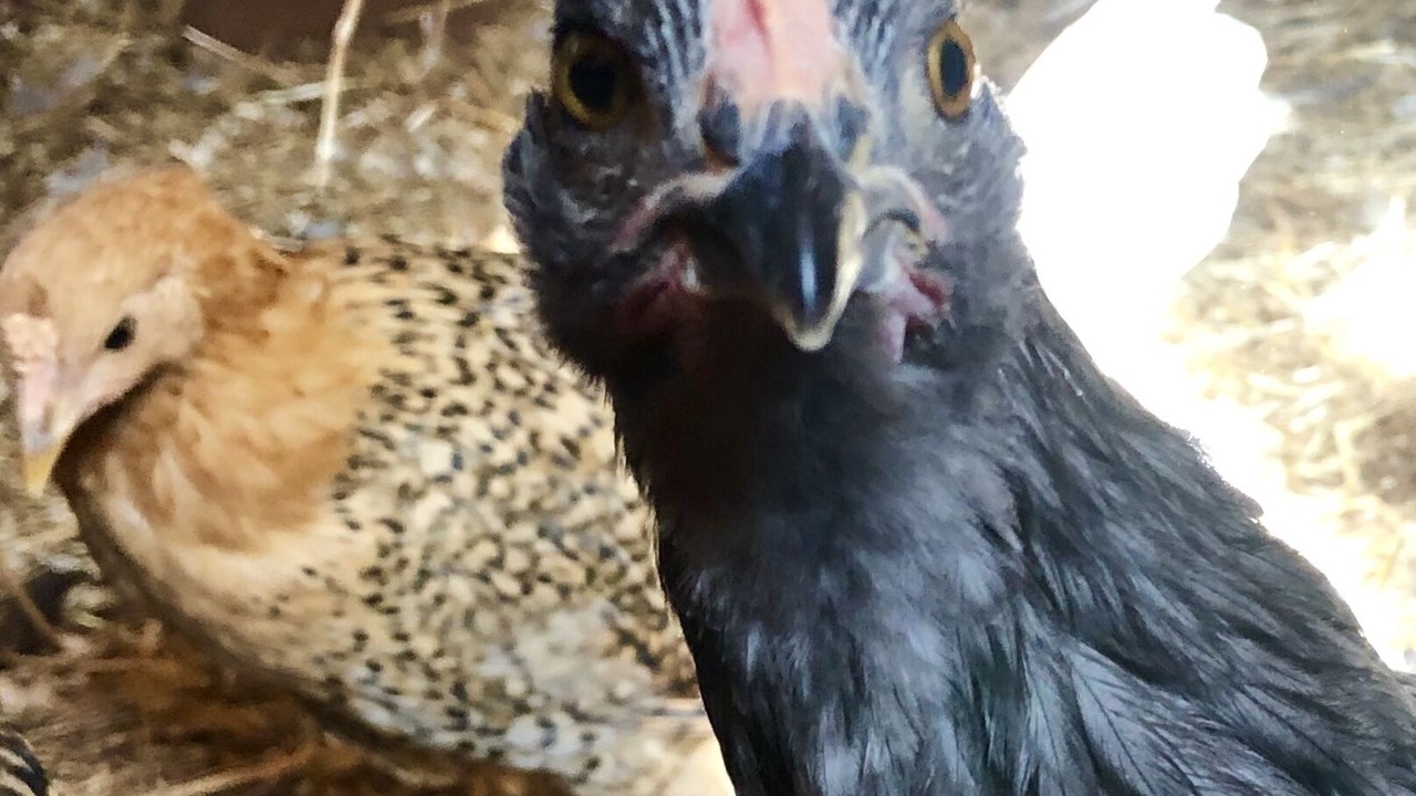 Photo of Outdoor in Marcola