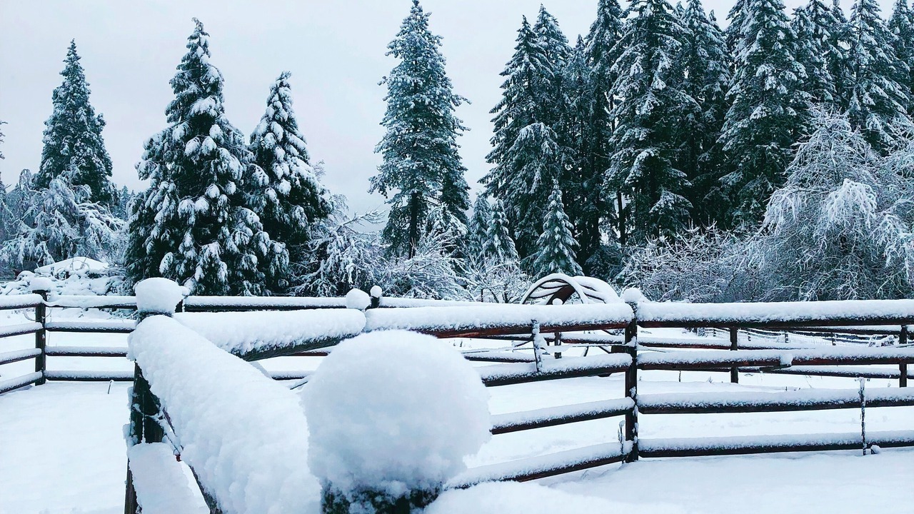 Photo of Outdoor in Marcola