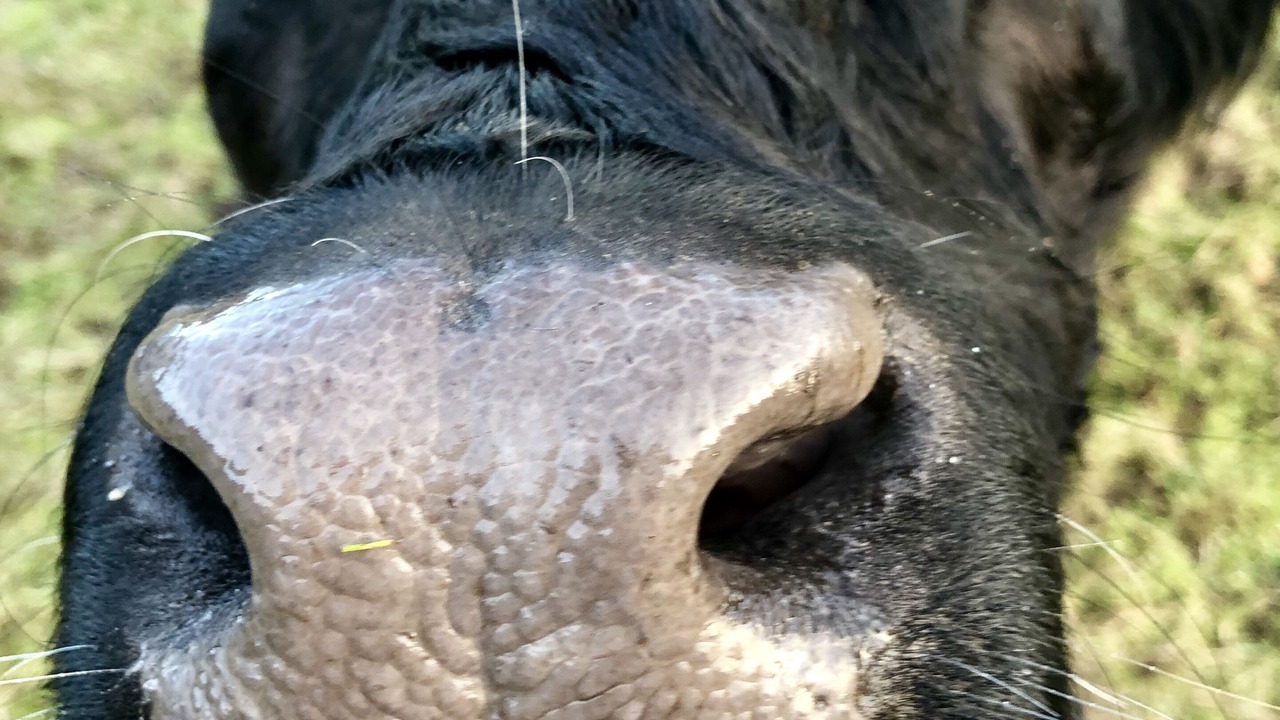 Photo of Outdoor in Marcola