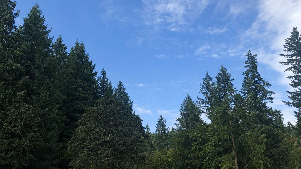 Photo of Others in Marcola