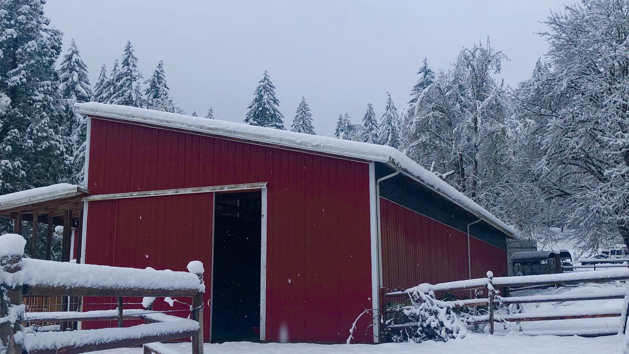 Photo of Outdoor in Marcola