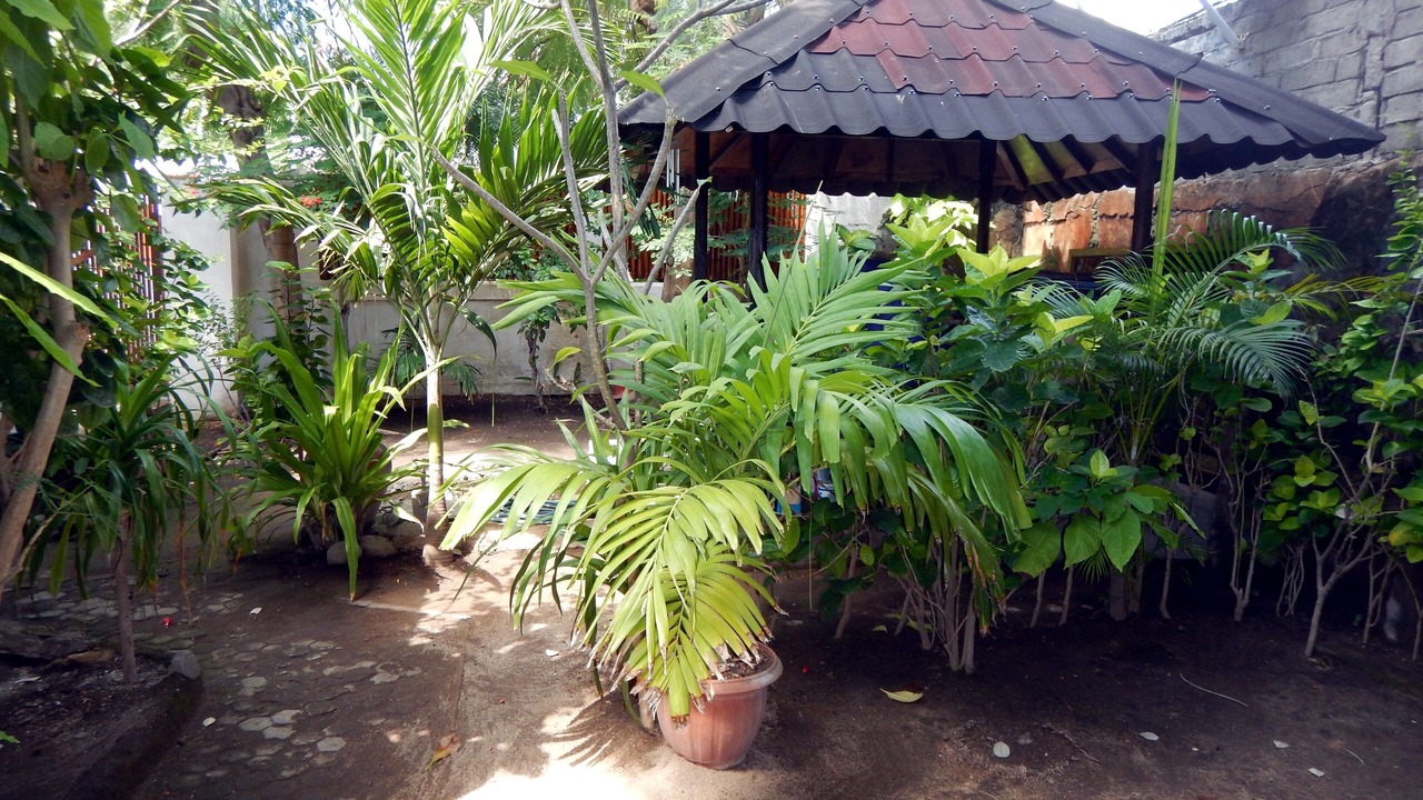 Photo of Outdoor in Gili Trawangan