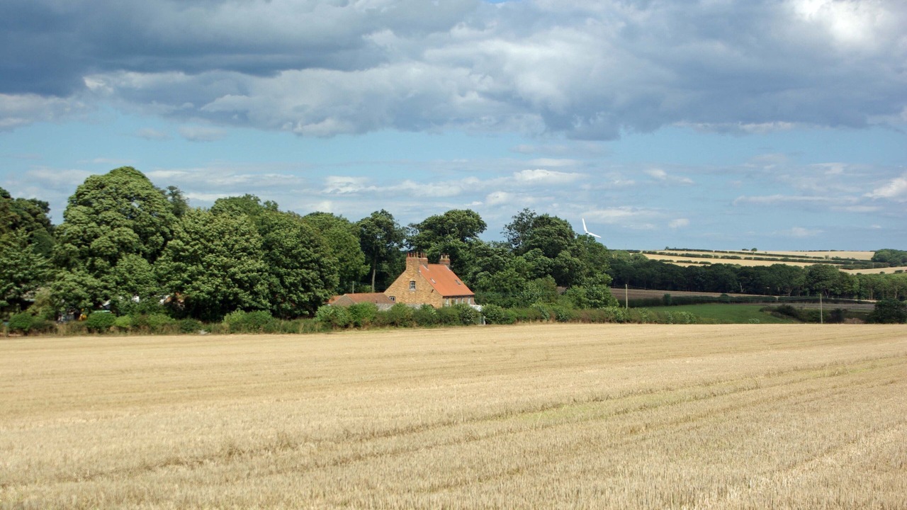 Photo of Others in Filey