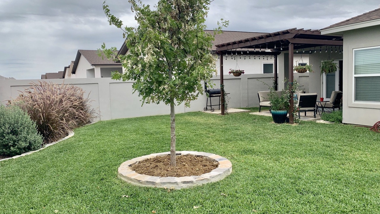 Photo of Outdoor in Bonanza