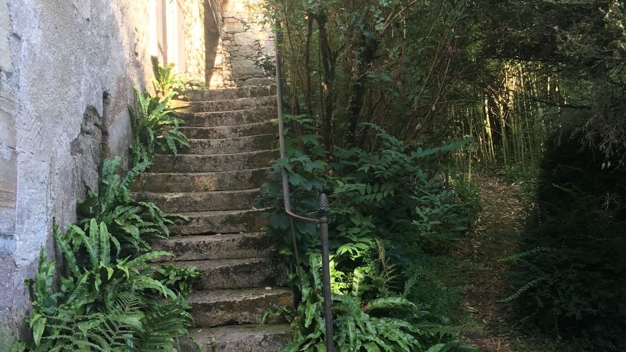 Photo of Outdoor in Cherveix-Cubas