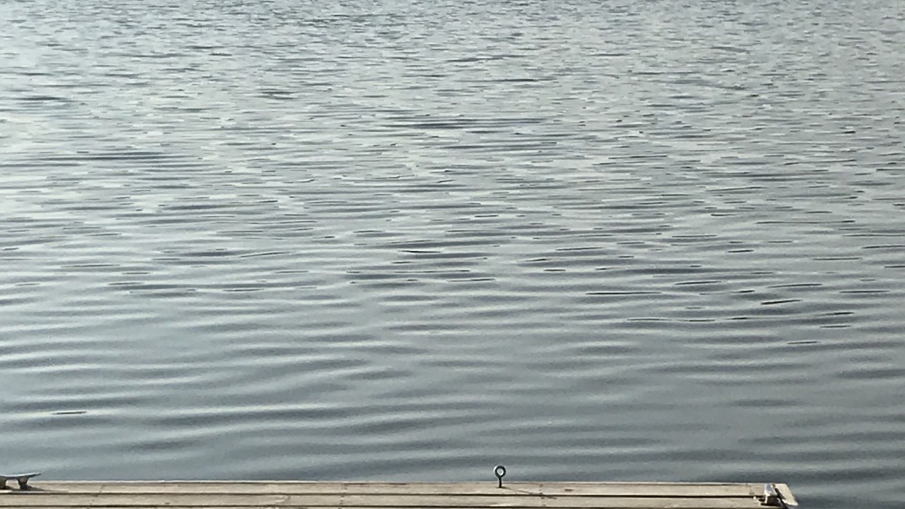 Photo of Others in Decatur