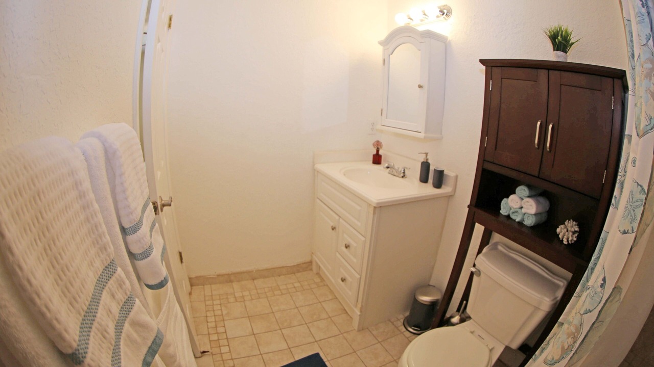 Photo of Bathroom in Wellington