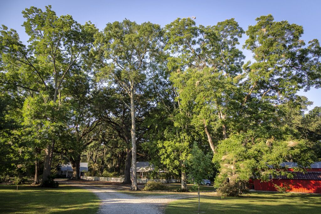 Photo of Outdoor in Breaux Bridge