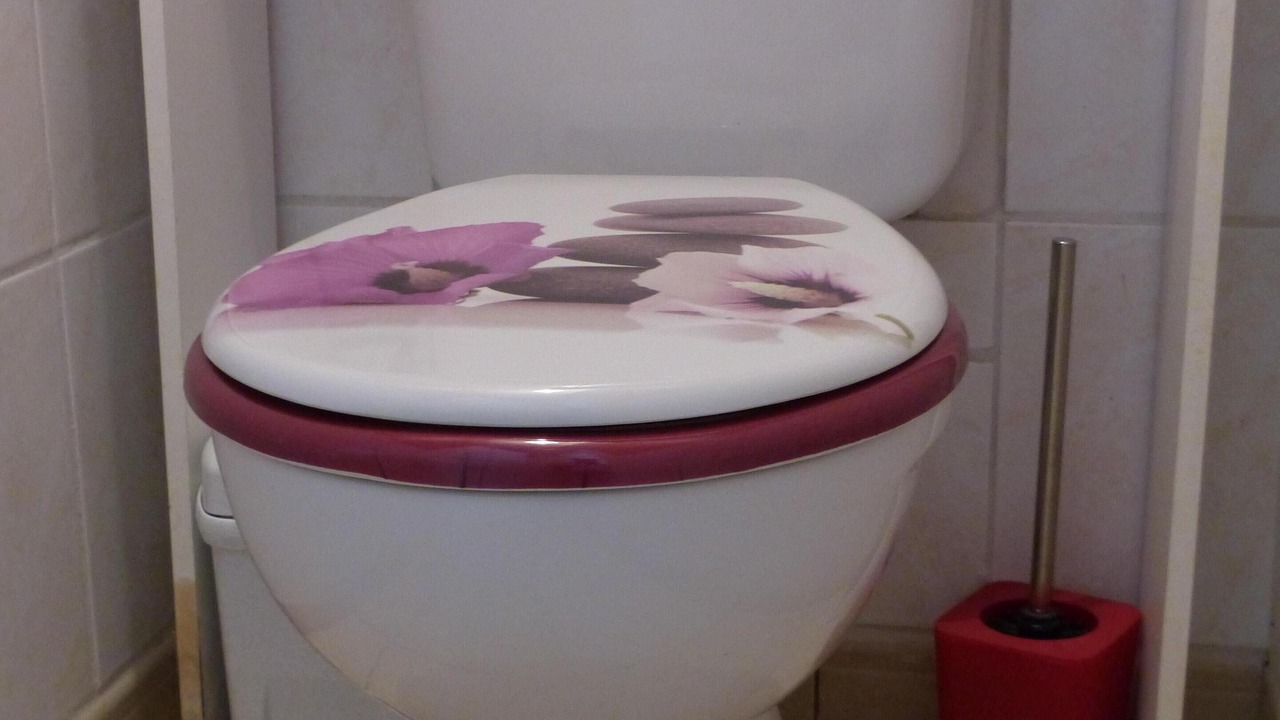 Photo of Bathroom in Canaples