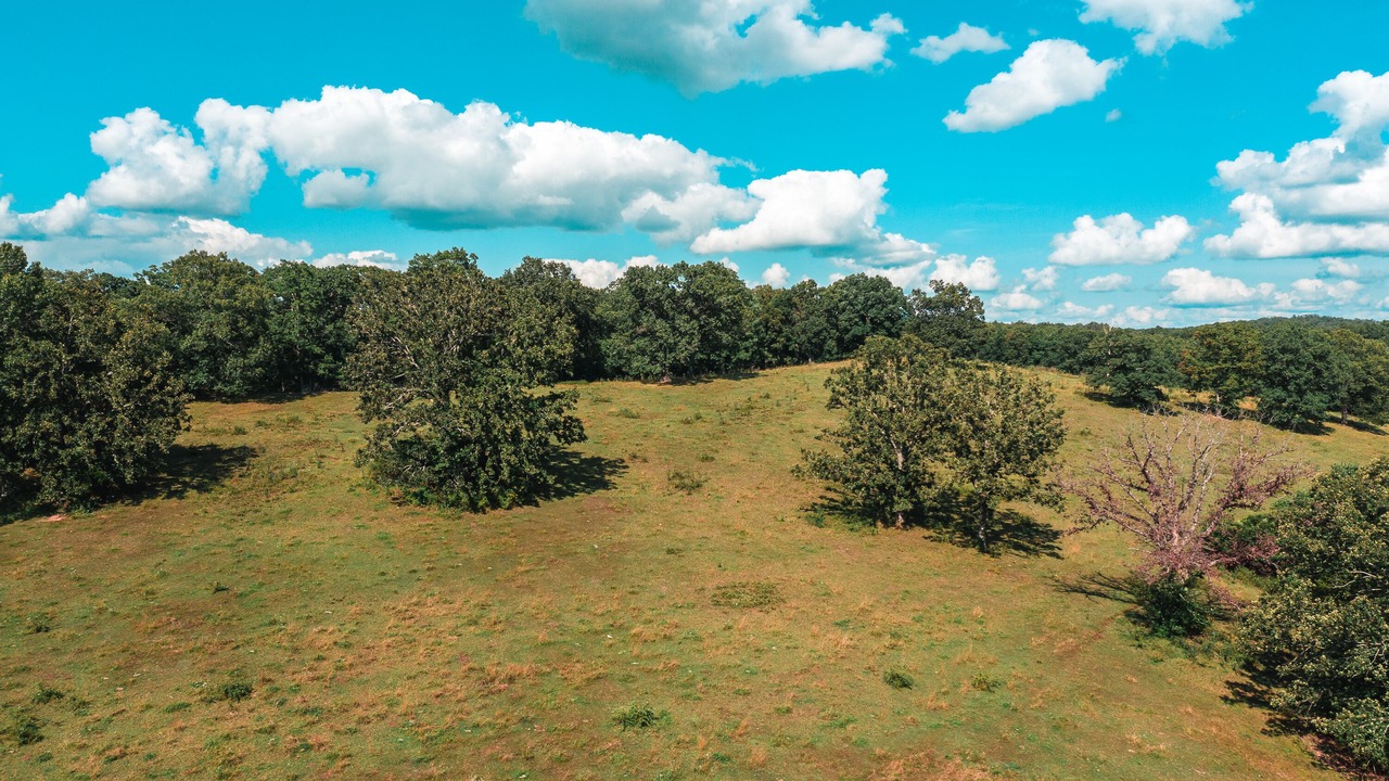 Photo of Outdoor in Cook Station