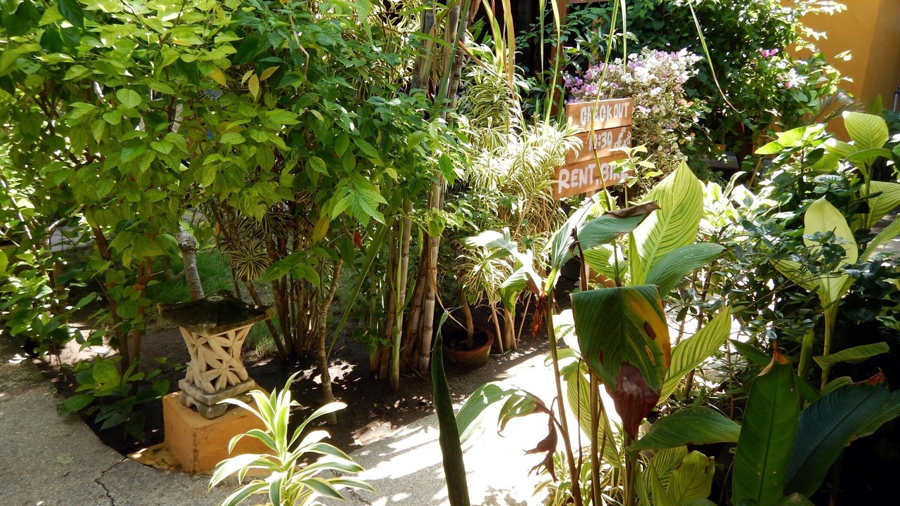 Photo of Outdoor in Gili Trawangan