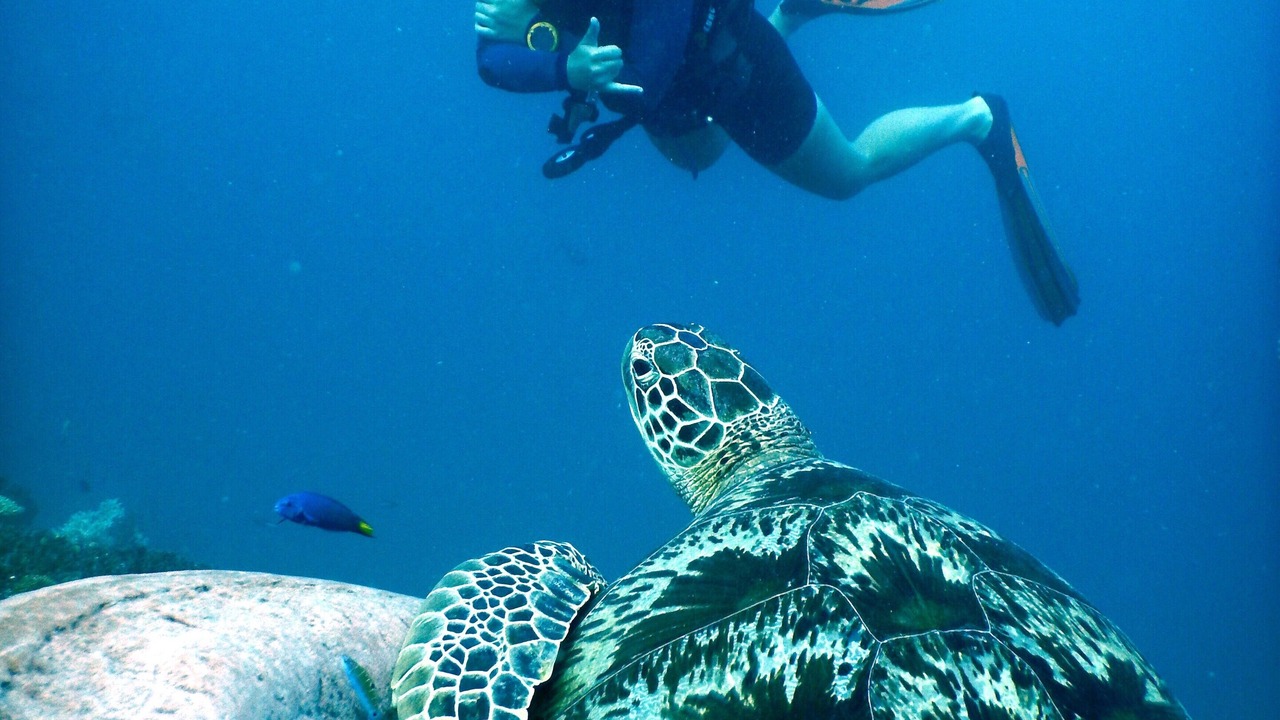 Photo of Others in Gili Trawangan