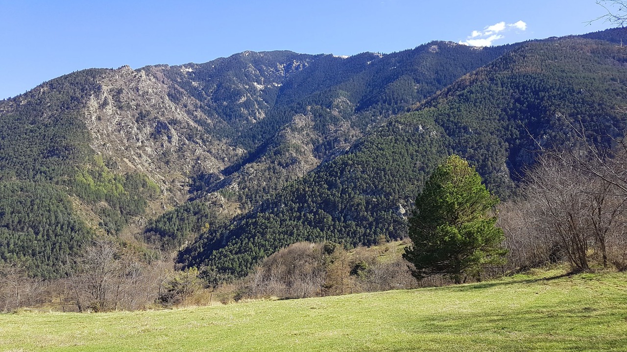 Photo of Outdoor in Escaro