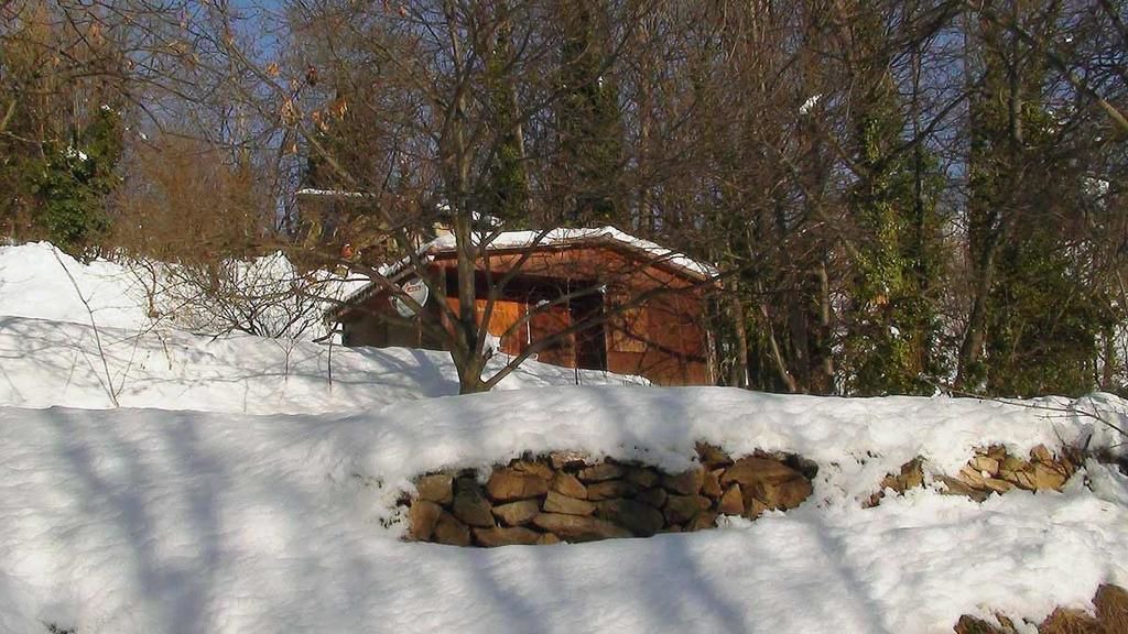 Photo of Outdoor in Escaro