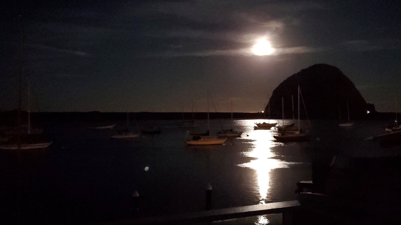 Photo of Others in Morro Bay