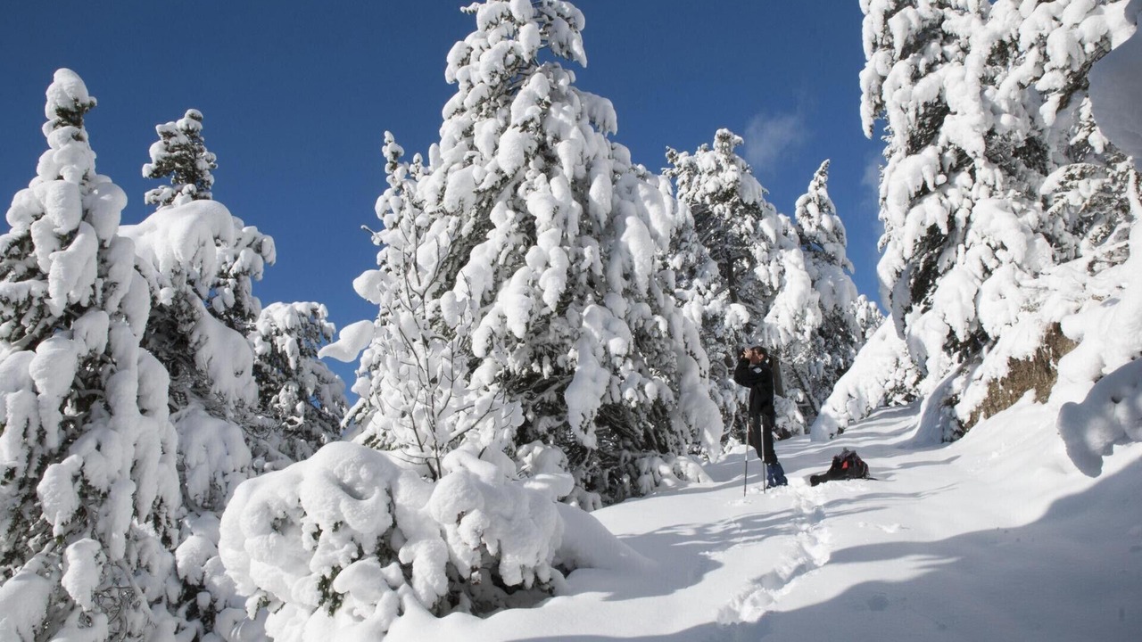 Photo of Others in Orelle