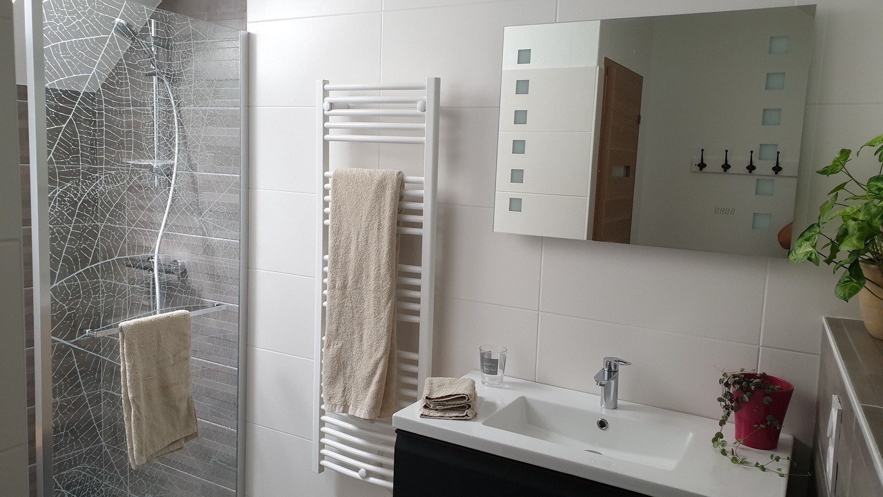 Photo of Bathroom in Vitre