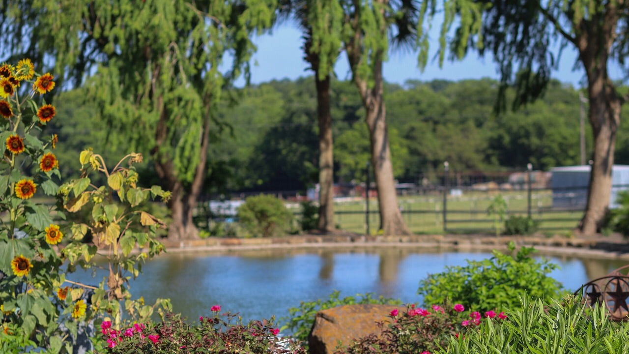 Photo of Outdoor in Brenham