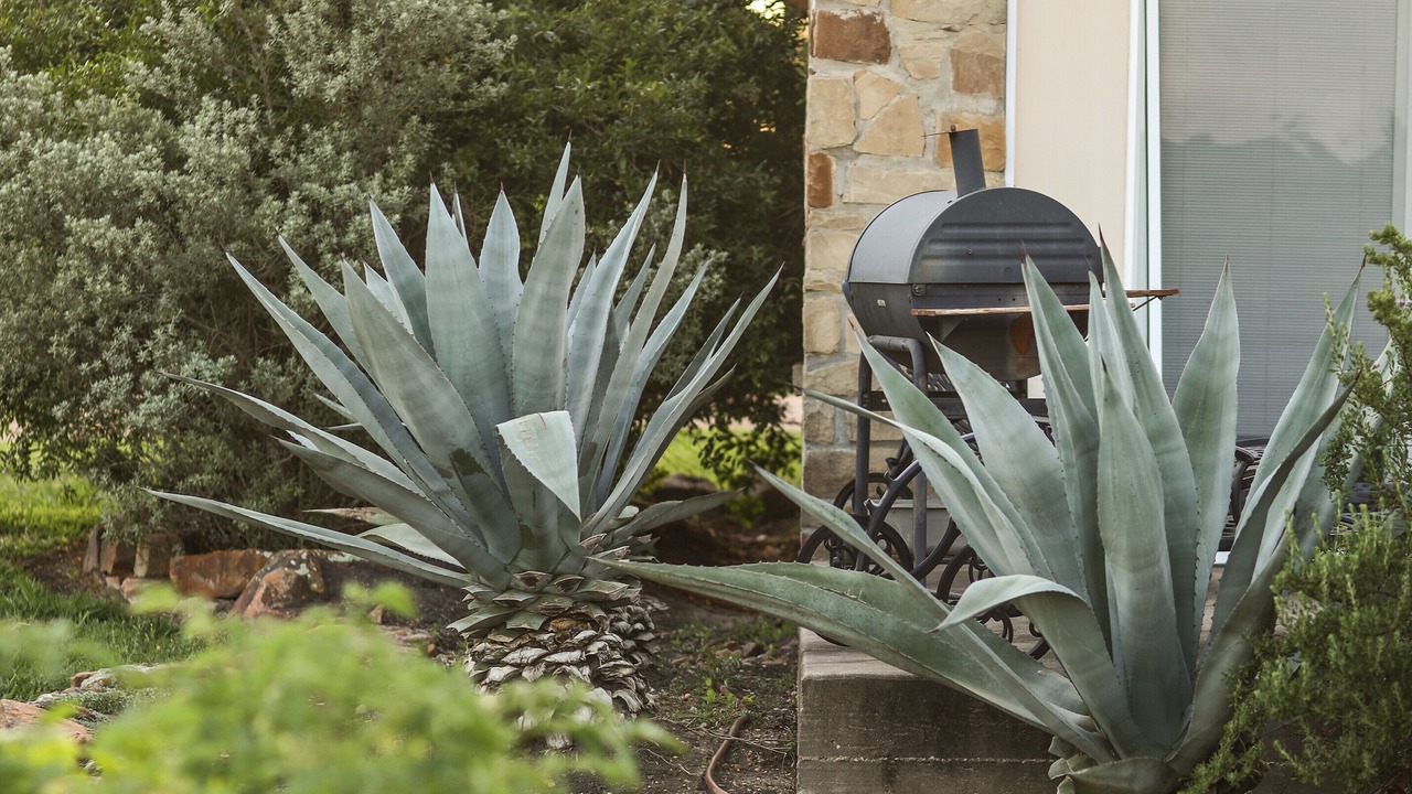 Photo of Outdoor in Brenham