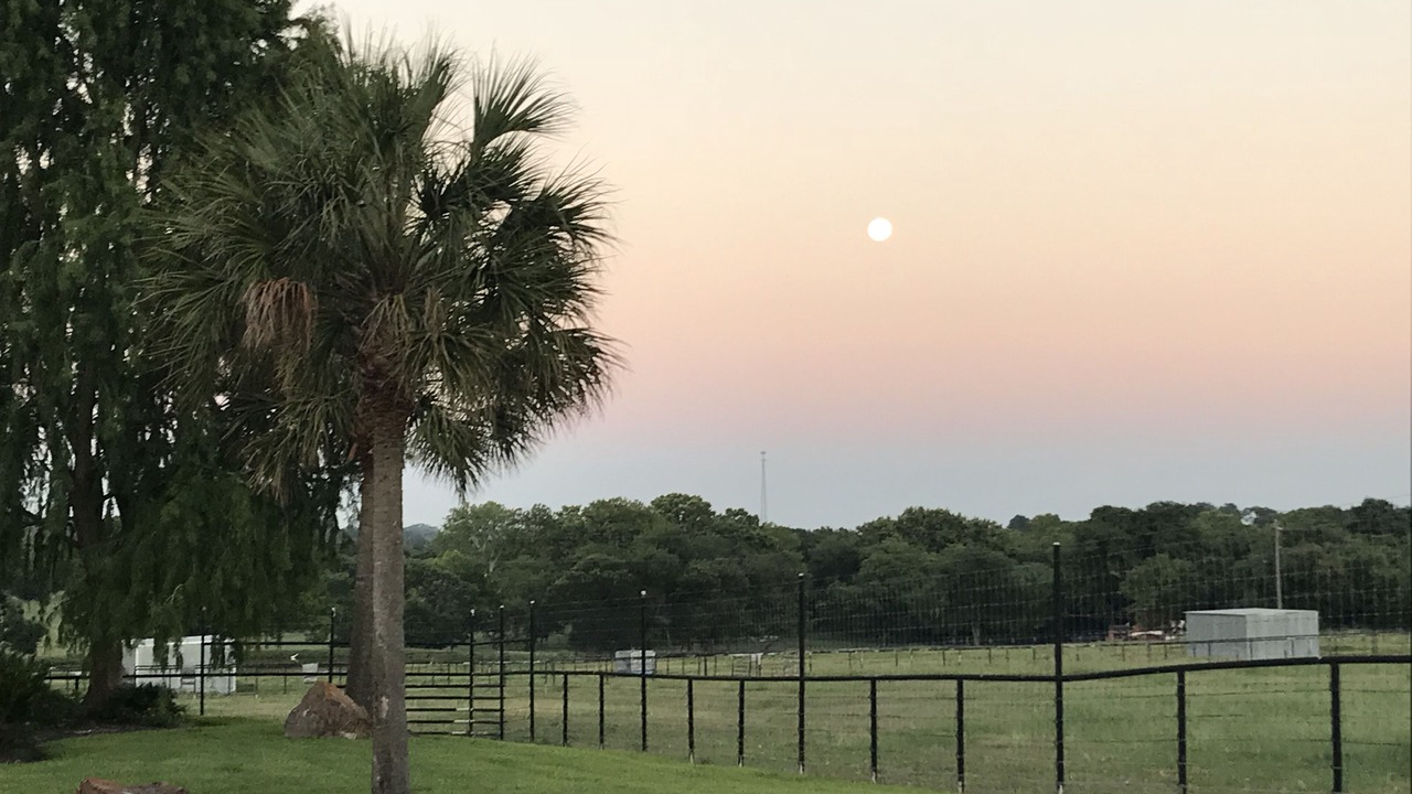 Photo of Outdoor in Brenham