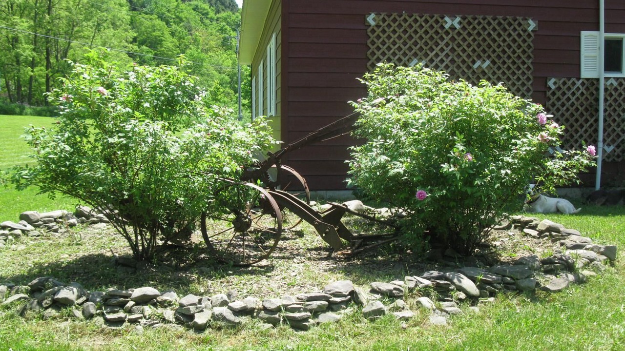 Photo of Outdoor in Hartwick