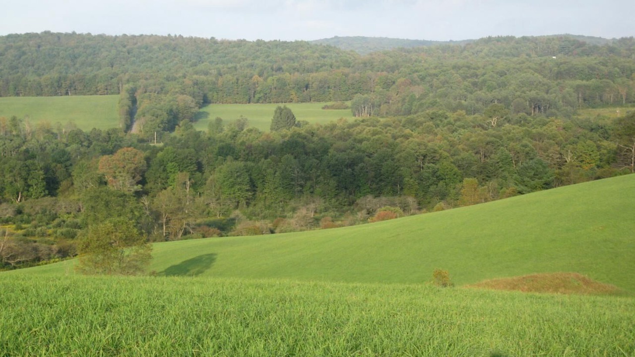 Photo of Others in Hartwick