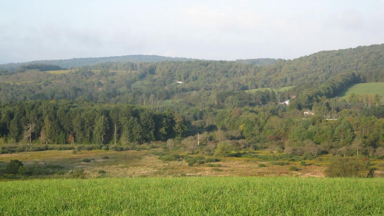 Photo of Outdoor in Hartwick