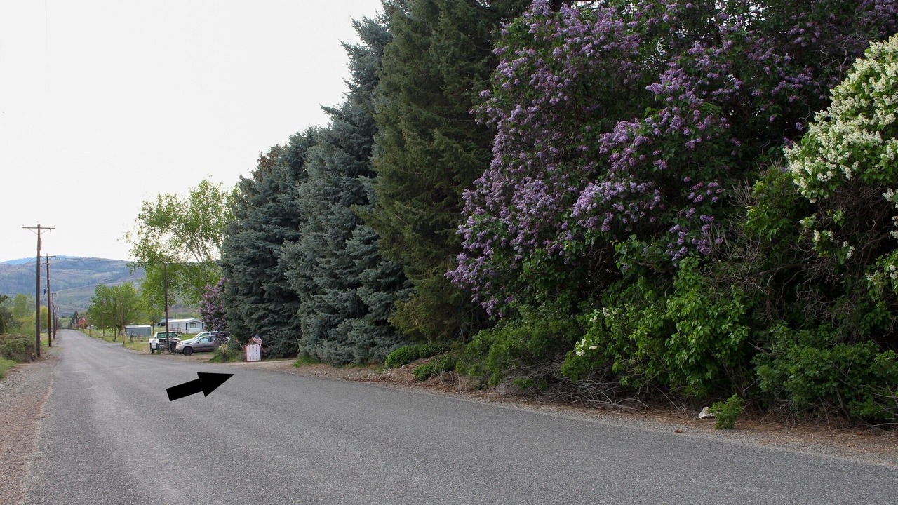 Photo of Others in Omak