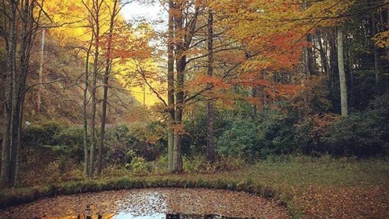 Photo of Outdoor in Hot Springs