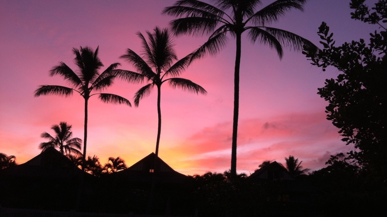 Photo of Others in Princeville