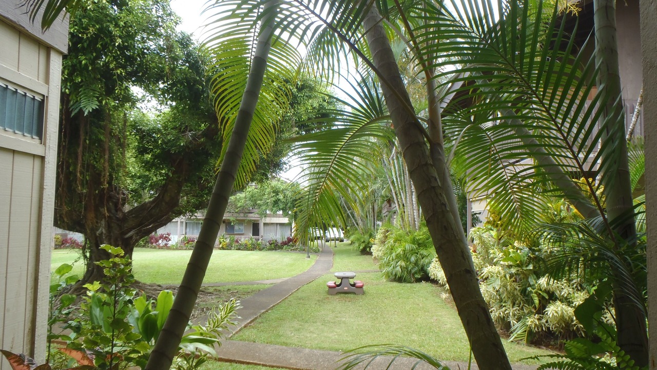 Photo of Outdoor in Princeville