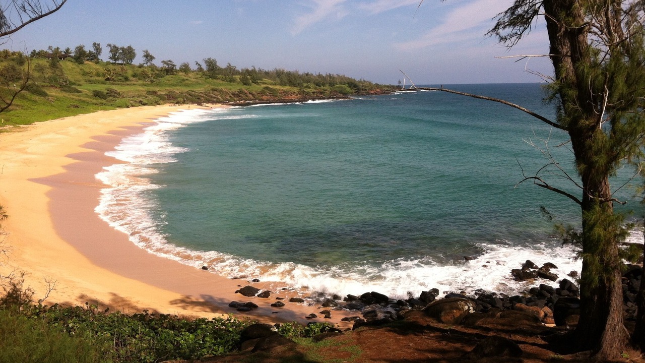 Photo of Others in Princeville