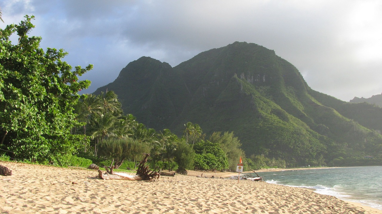 Photo of Others in Princeville