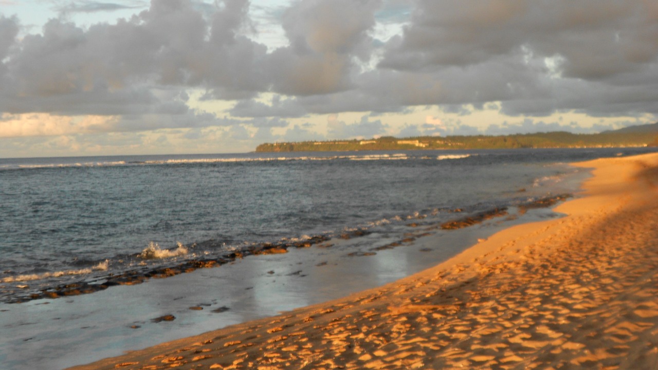 Photo of Others in Princeville