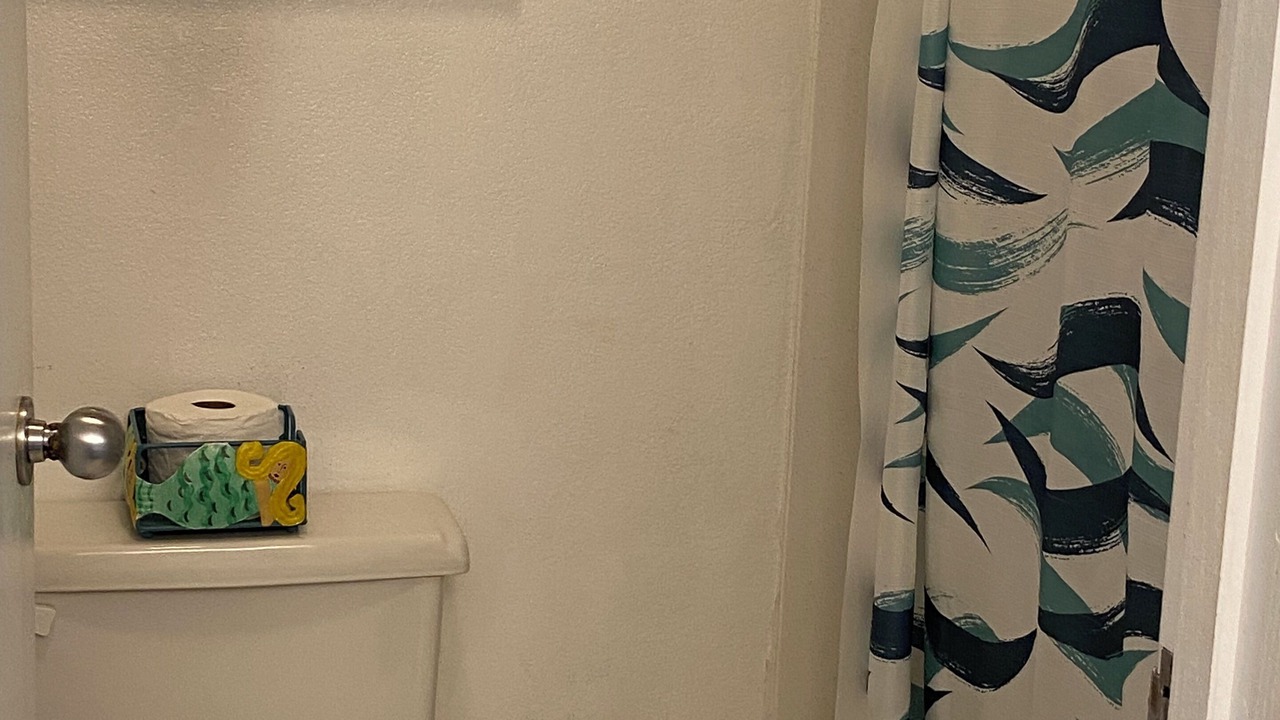 Photo of Bathroom in Princeville