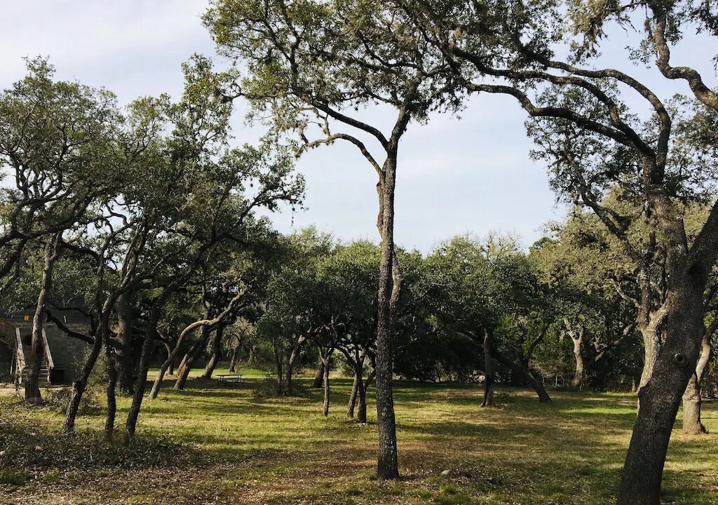 Photo of Others in Leakey